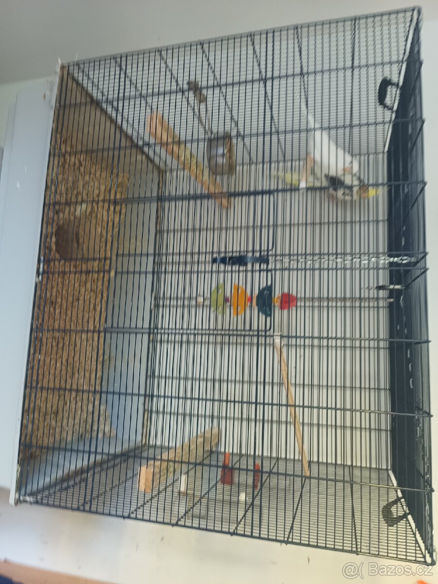 Klec, korela, andulka