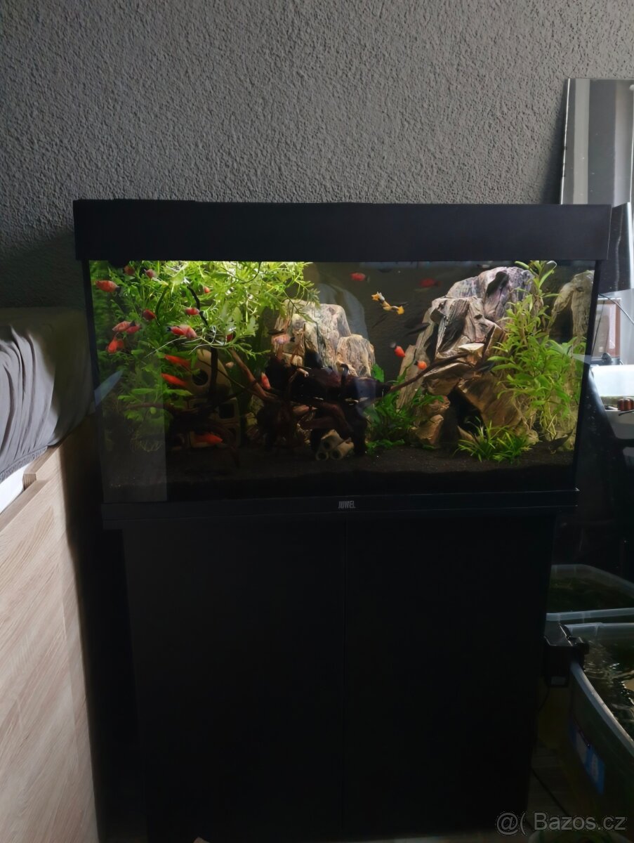 Juwel Rio 125 + Helialux Spectrum RGB + Control