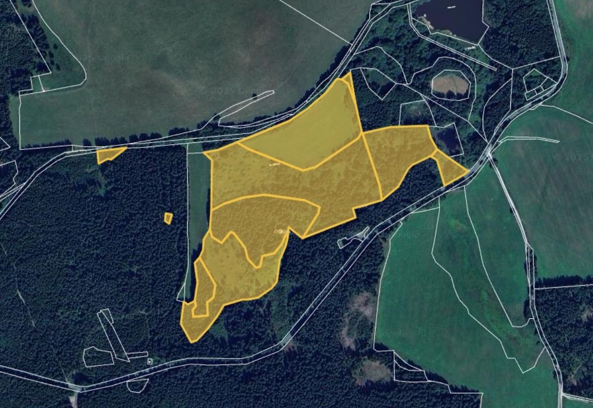 Prodej louky v k.ú. Lesná u Tachova, ev.č. 2025-10-07-081114