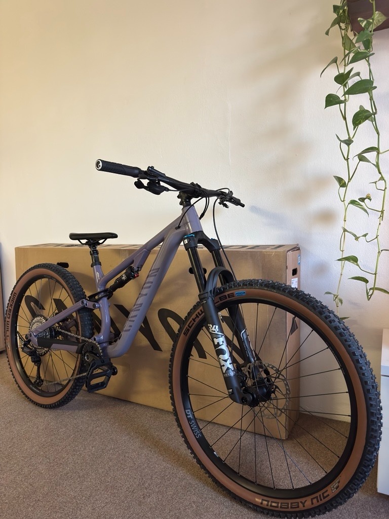 Canyon neuron 6