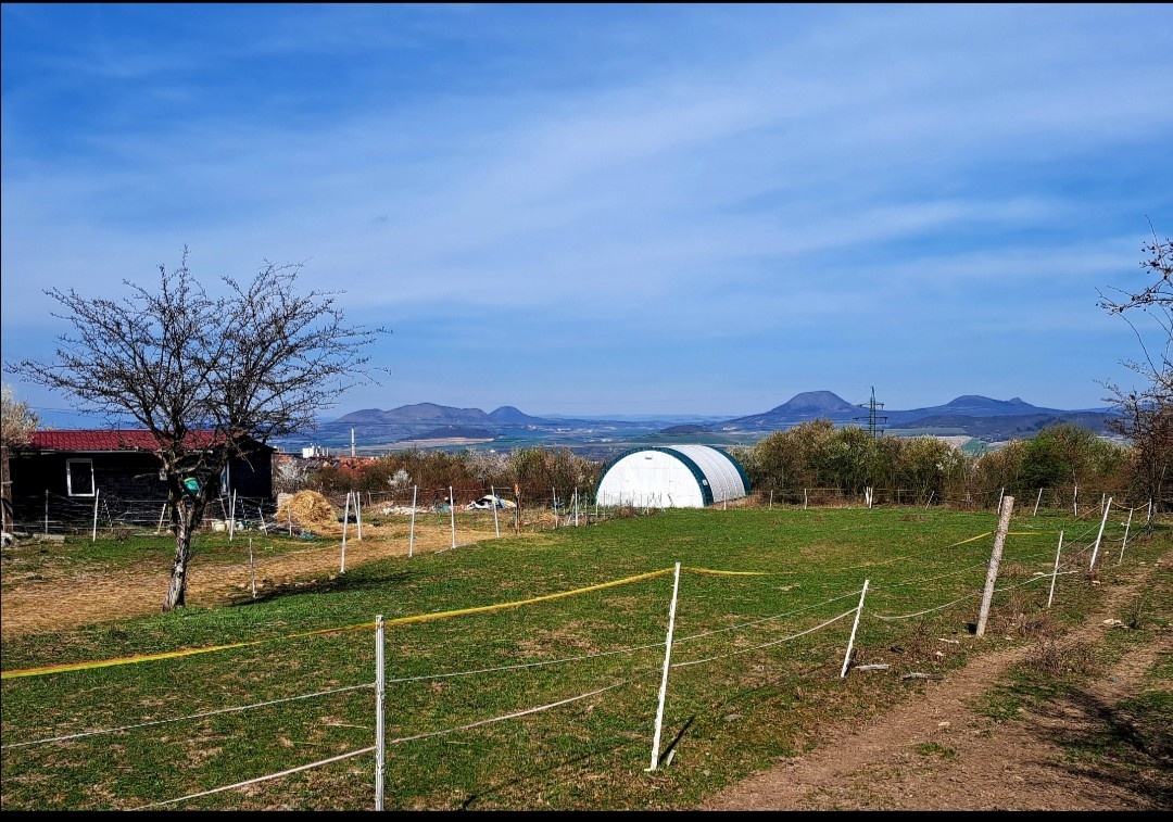 Pozemky 6,6ha, 300m od Loun