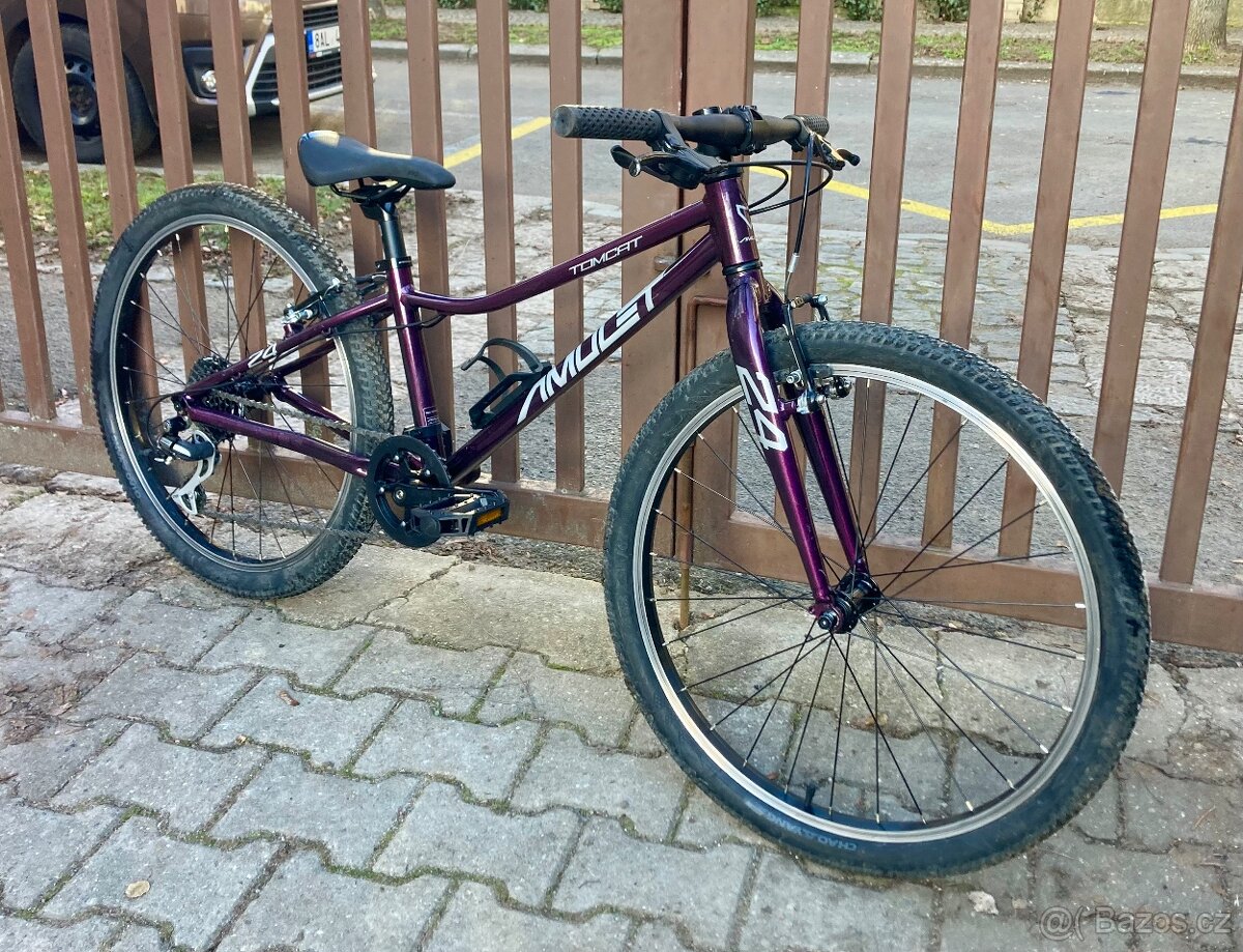 dětské kolo Amulet Tomcat 24