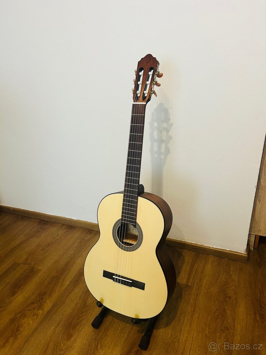 Cort AC-100