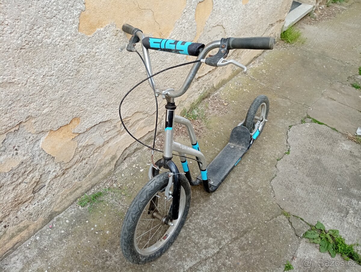 Koloběžka velká