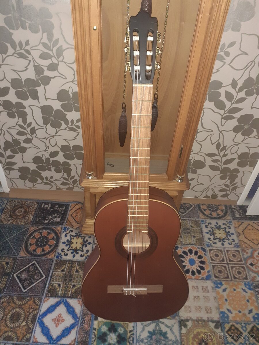 Kytara Schneider-1997 Classic 4/4