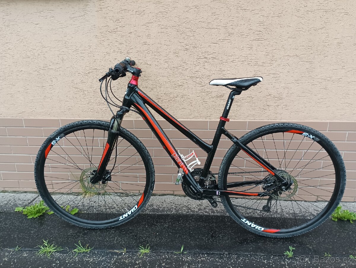 Kolo Giant