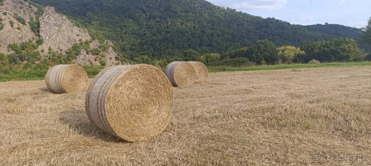 Prodám pšenici, ječmen, slámu