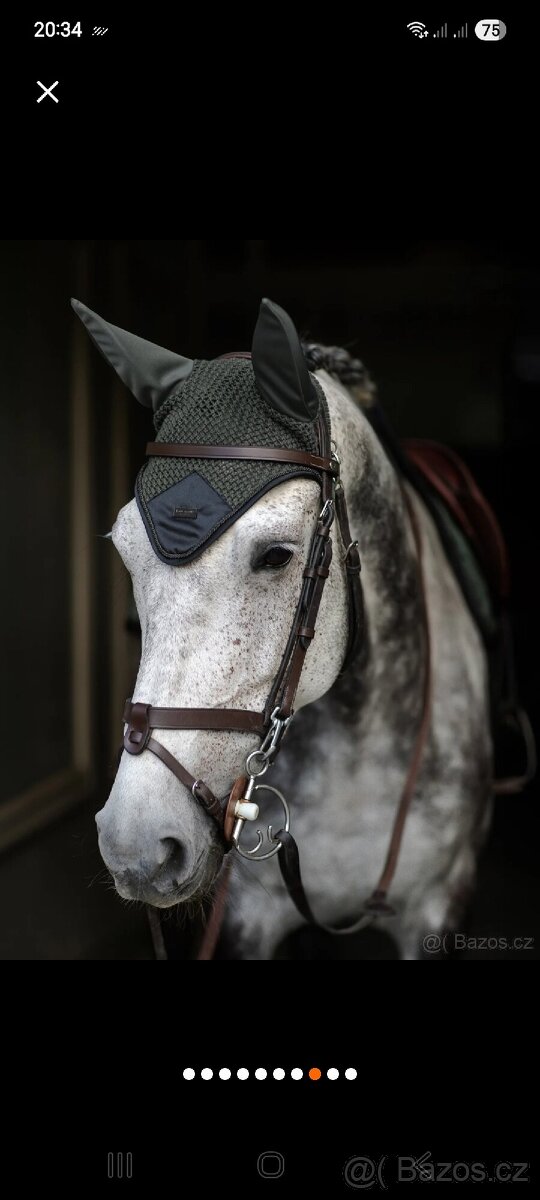 Avenue green čabraka ES