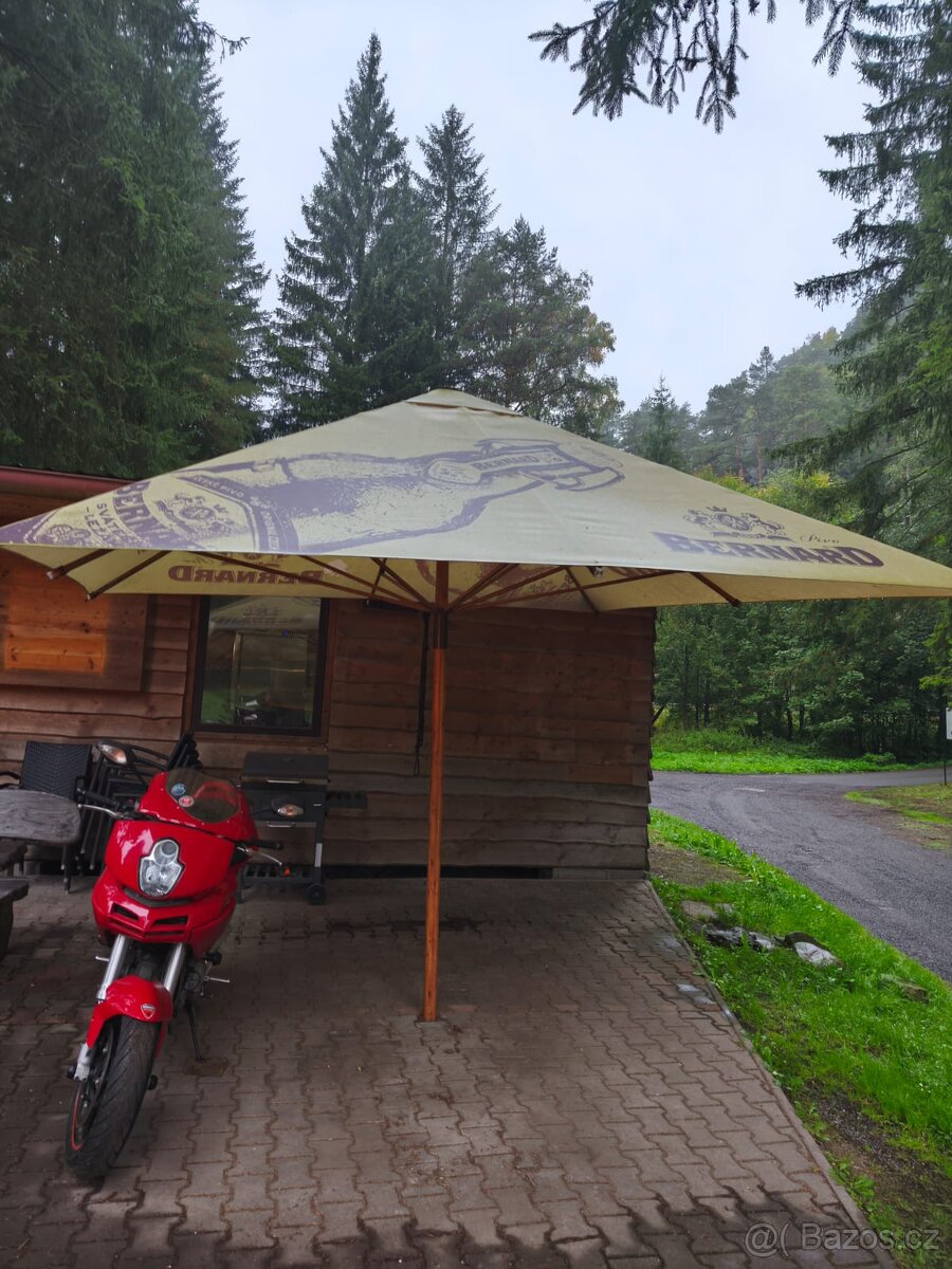 Slunečník Hospodský