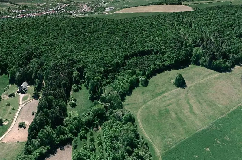 Prodej lesa 7429 m² Nivnice