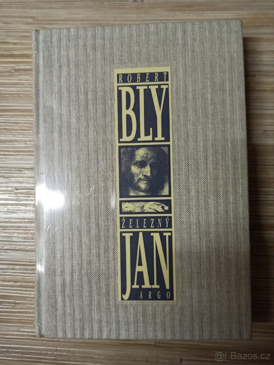 Robert Bly, Železný Jan kniha o mužích