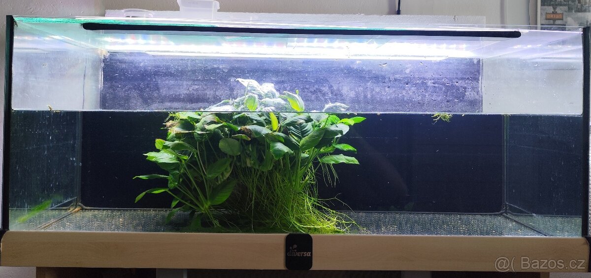Akvarium