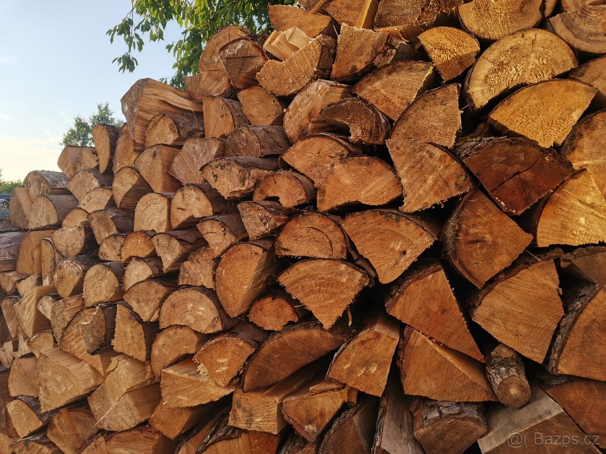 Palivové dřevo