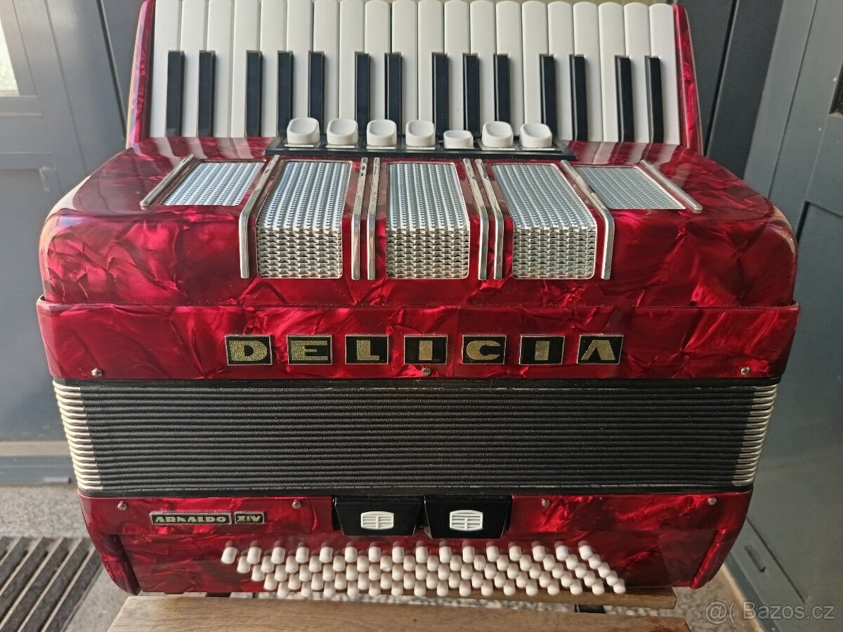 Harmonika Delicia Arnaldo