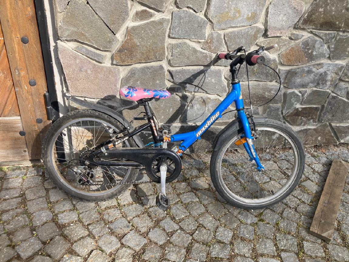 Dětské kolo Max bike 20"