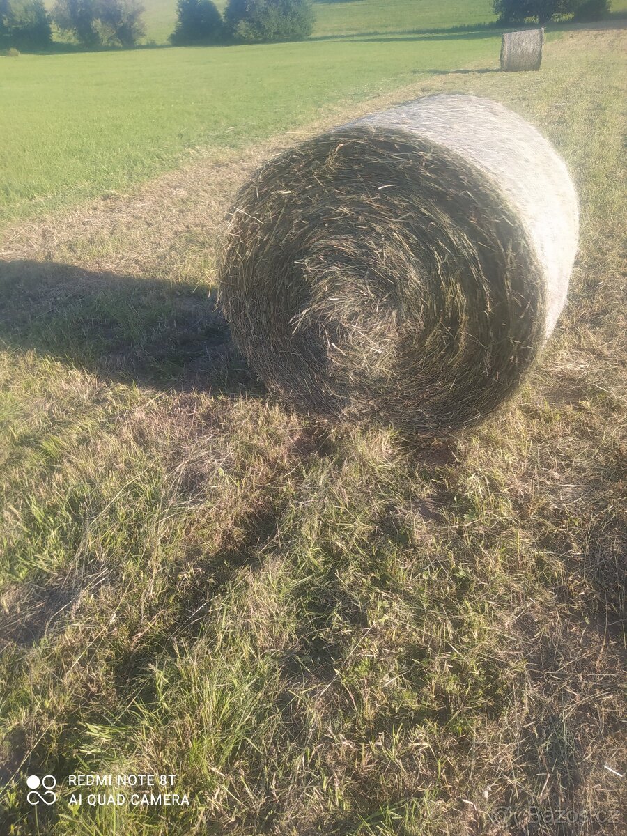 Seno kulaté baliky