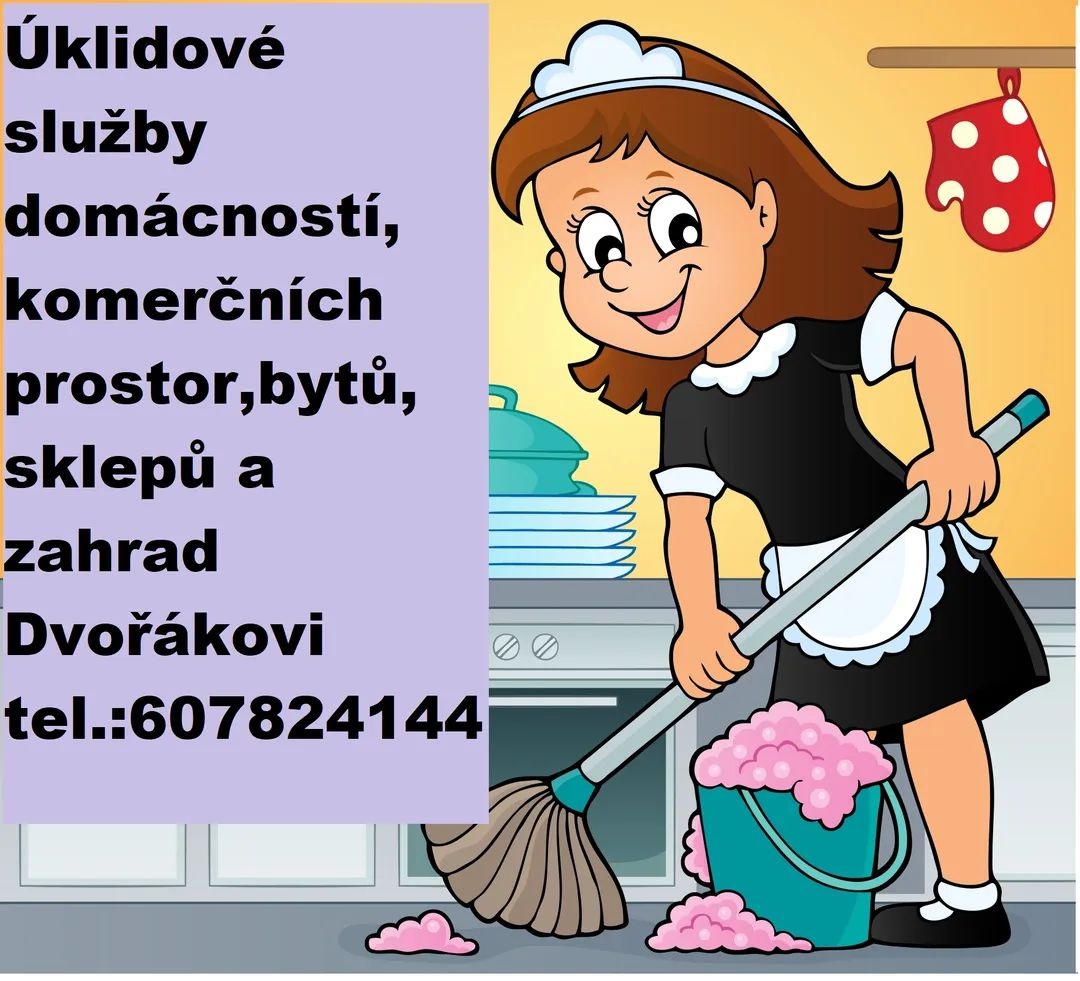Nabízíme úklidové služby