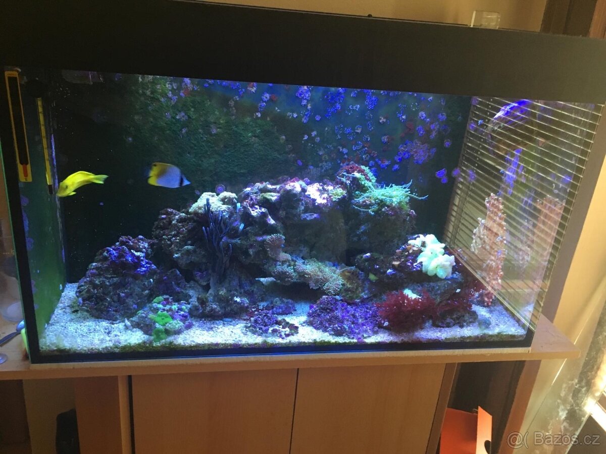 Mořské akvárium 80×50×40 cm – s filtrem a médii, bez života