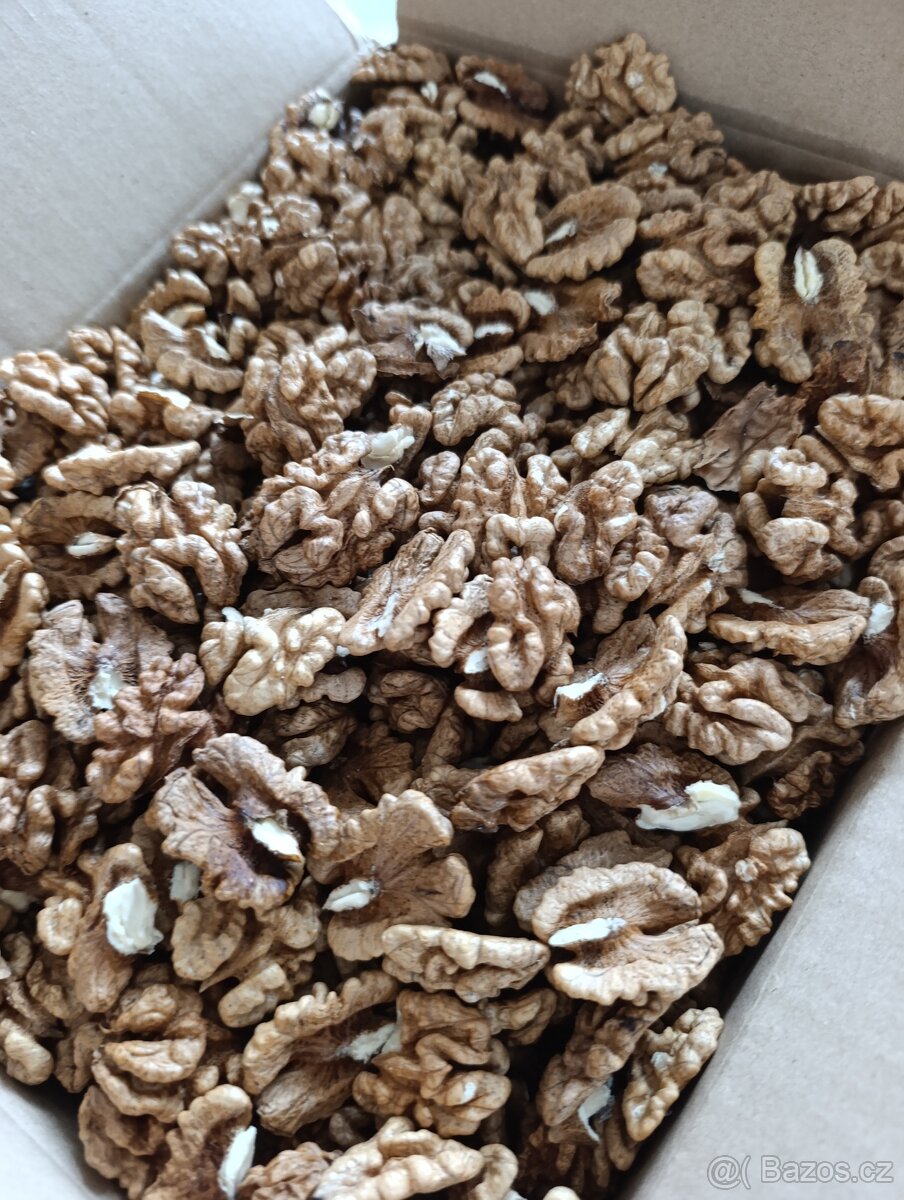 Vlašské ořechy vyloupané