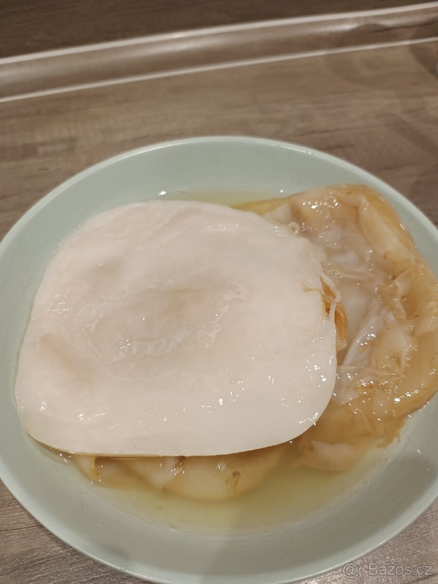 Kombucha