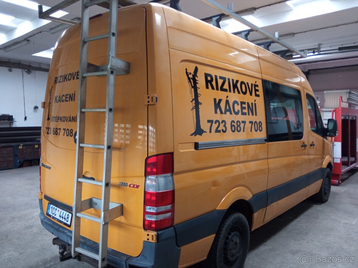 Rizikové kácení, sadařina