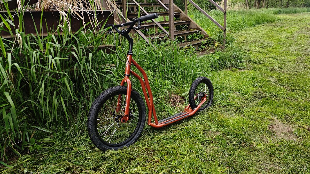 Yedoo s2016 Disc