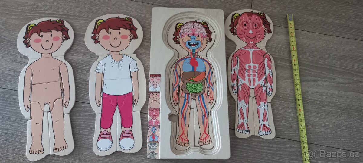 Skladacka puzzle lidske telo