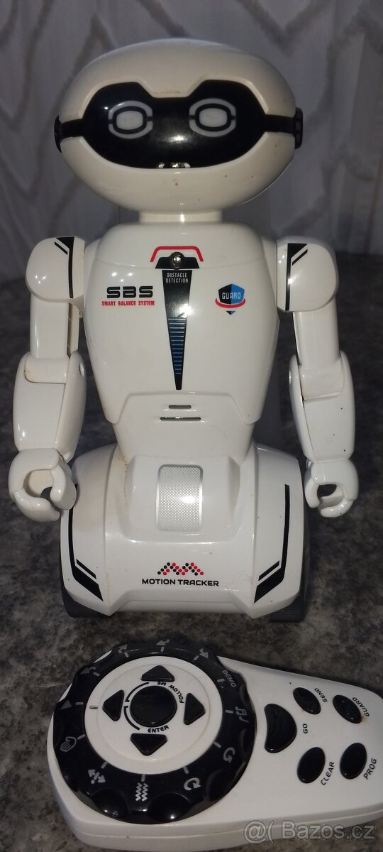 Robot