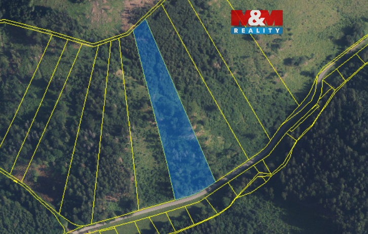 Prodej lesa, 12967 m², Nemile