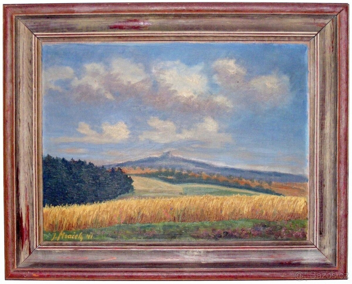 Olejomalba Hrad Radyně