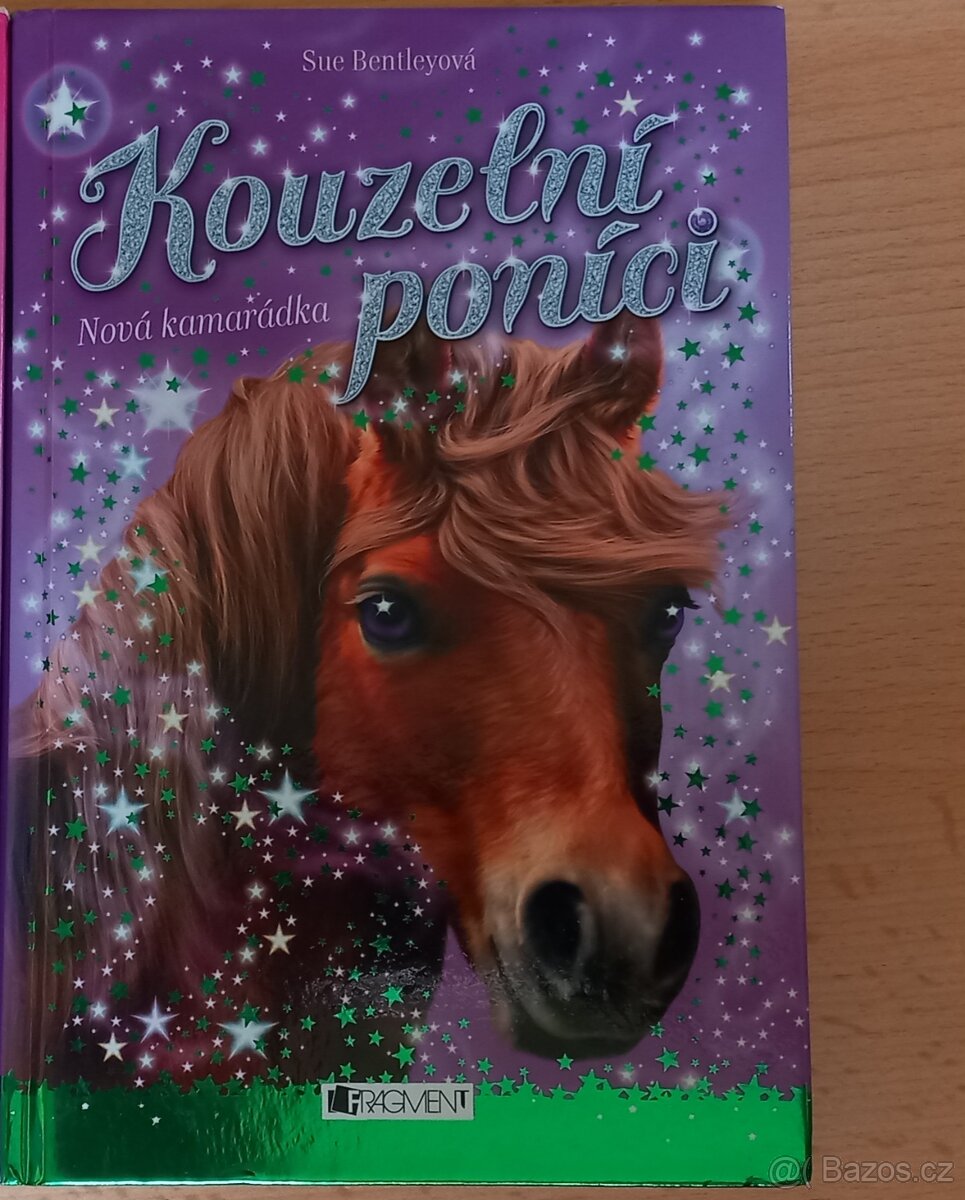 Kouzelný ponici