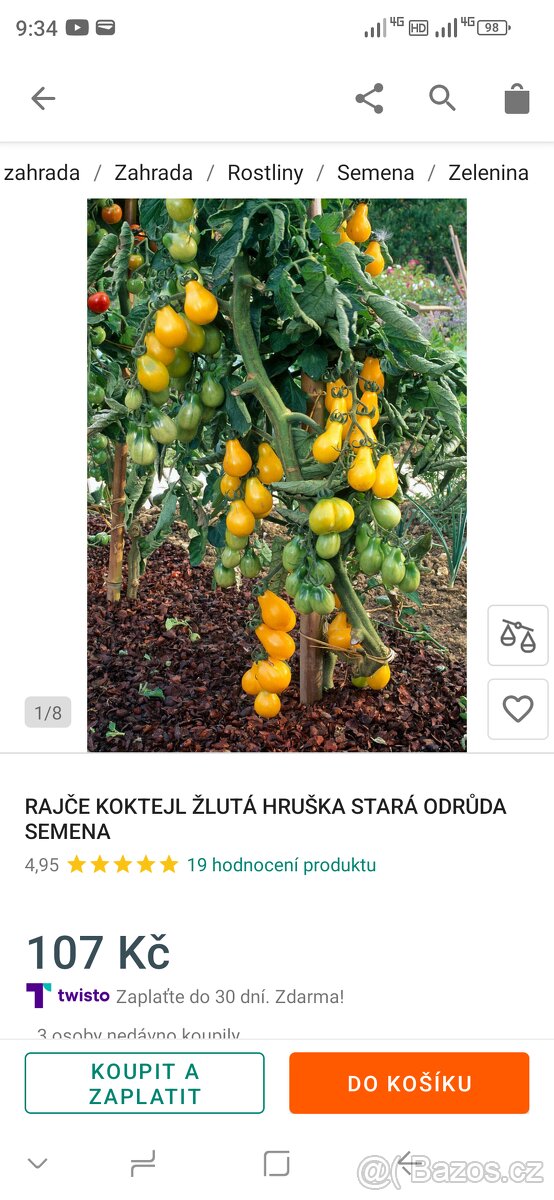 Sadba rajčat keříčková