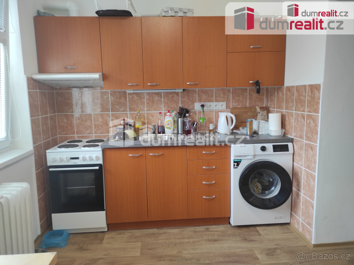 Pronájem bytu 1 + kk, 16 m2, zvýšené přízemí, velký sklep
