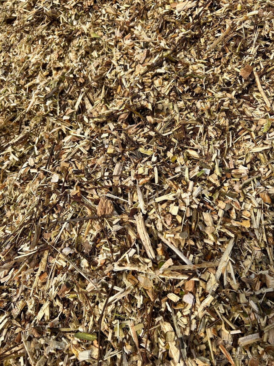 Drevni stepka - mulcovaci kura