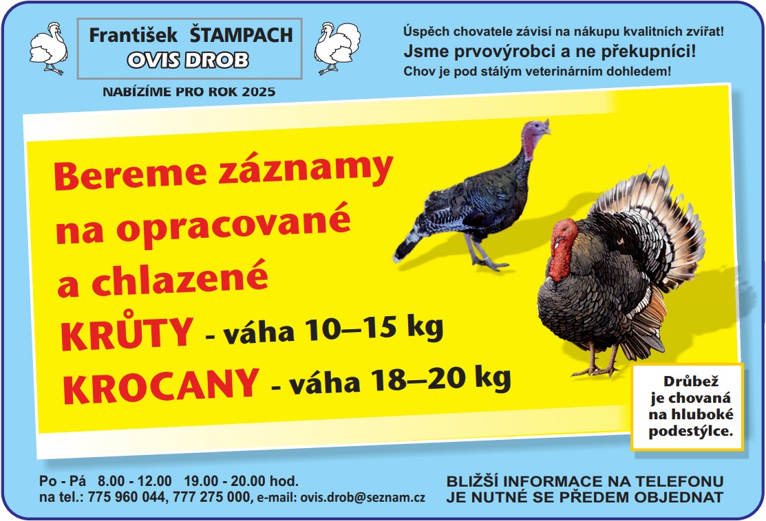 Nabízíme VYKRMENÉ KRŮTY a KROCANY