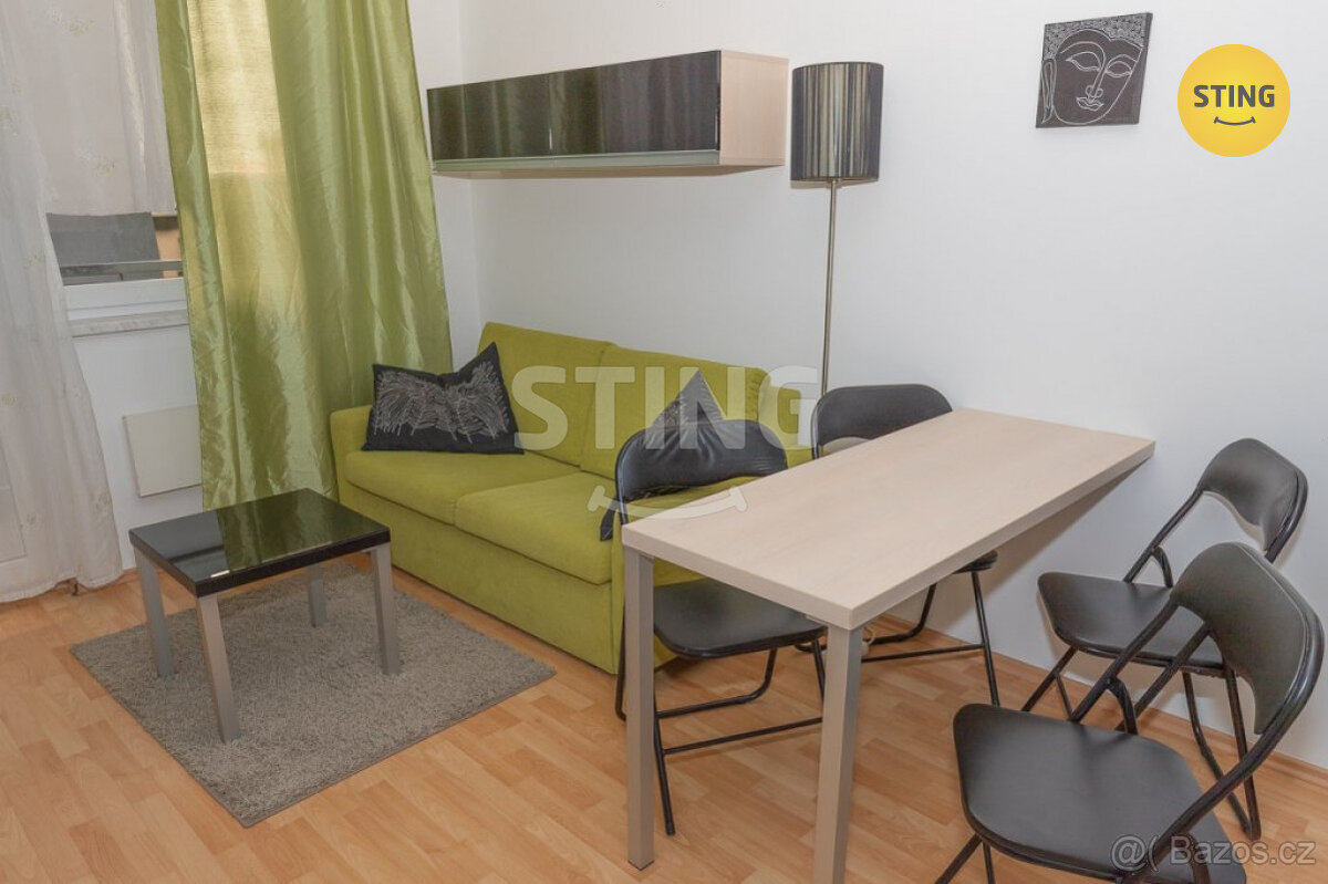 Pronájem bytu 1+kk s balkónem, ul. Francouzská, Brno, 132605