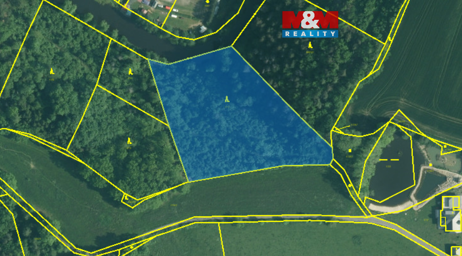 Prodej lesa, 9271 m², Římov - Branišovice