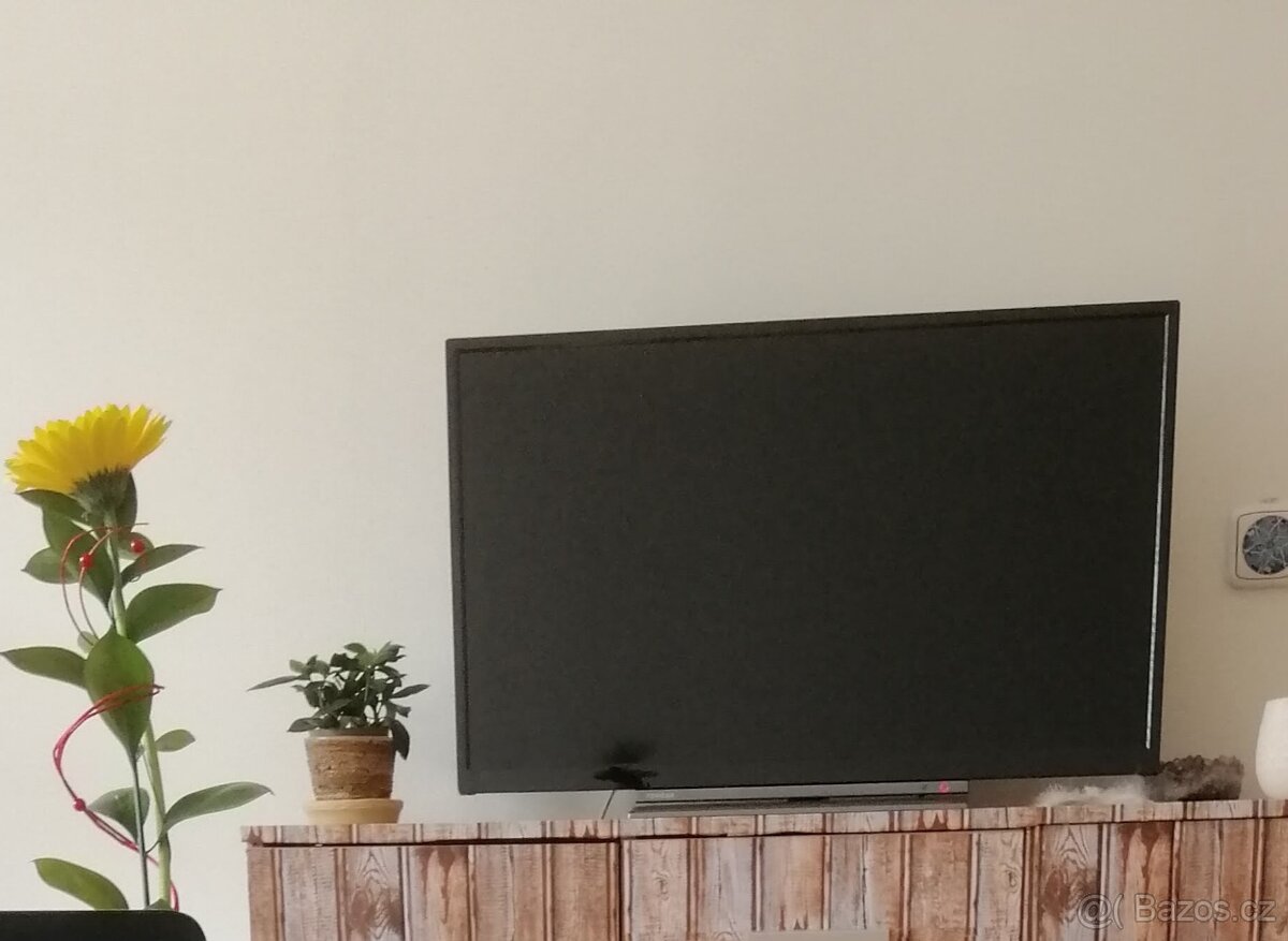 Televize Toshiba