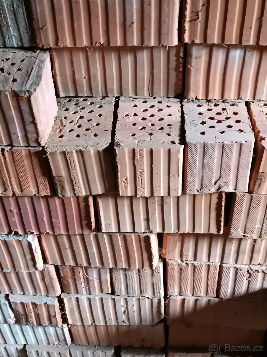 Příčkovky, voštinky