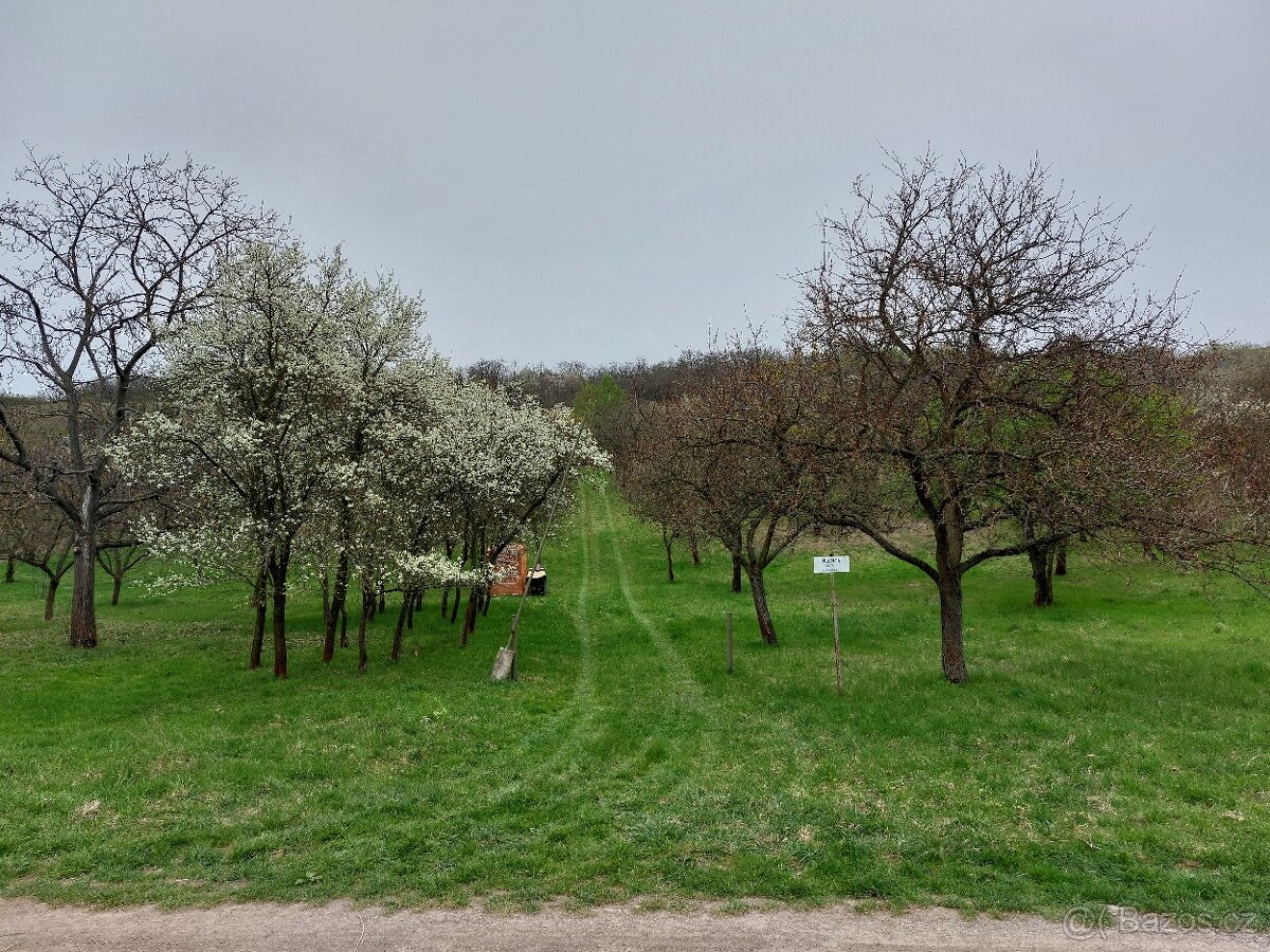 Pozemek s možností stavby chaty