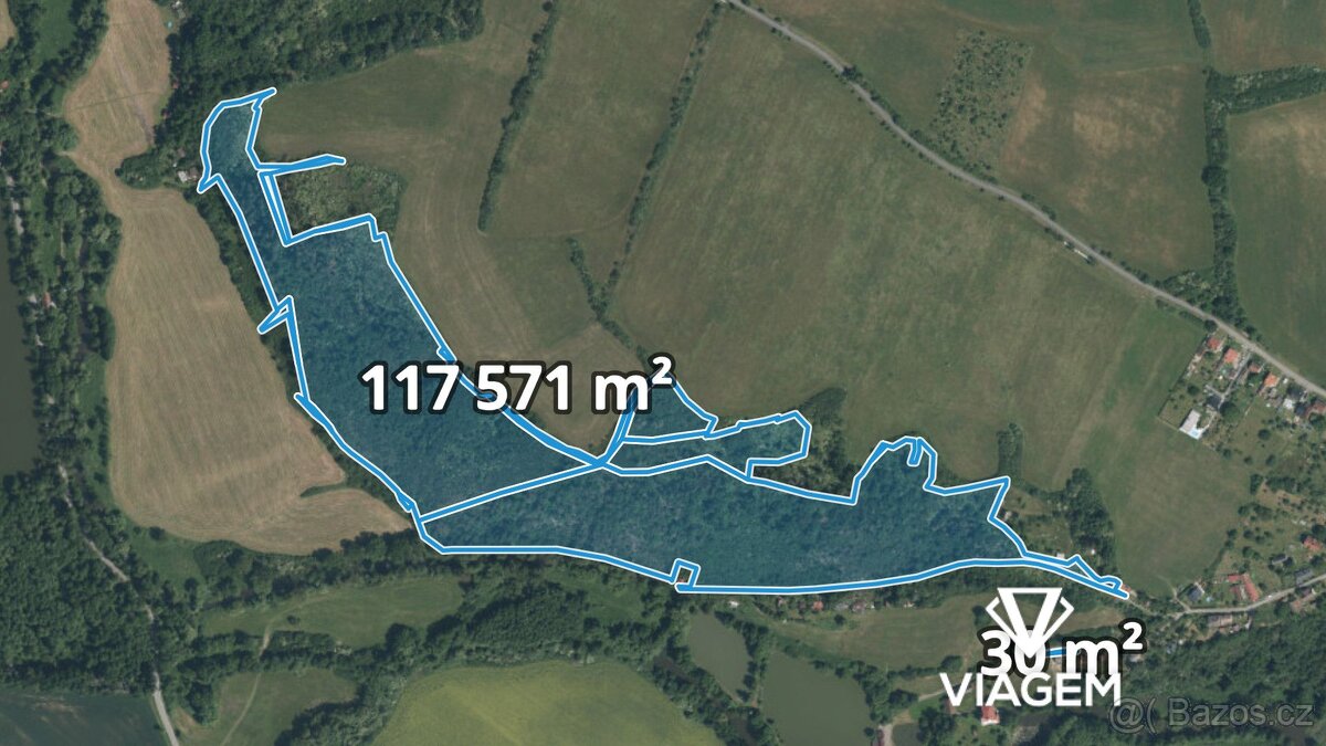 Forest 117,601 m², Share 50% of area 58,801 m²