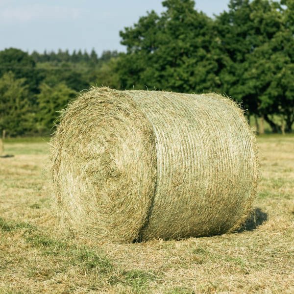 Loňské seno