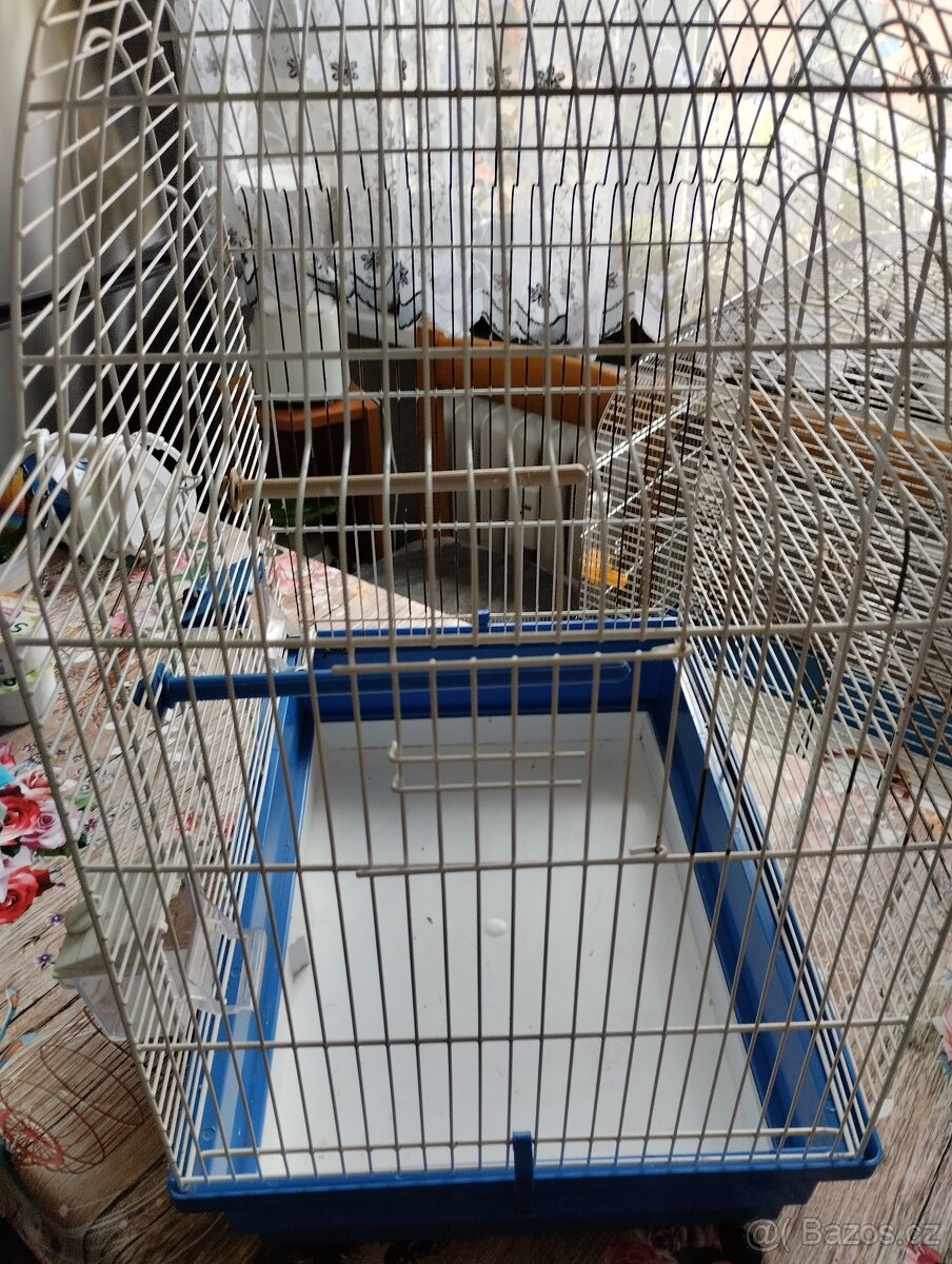 Ptactvo