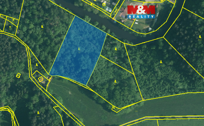 Prodej lesa, 6543 m², Římov - Branišovice