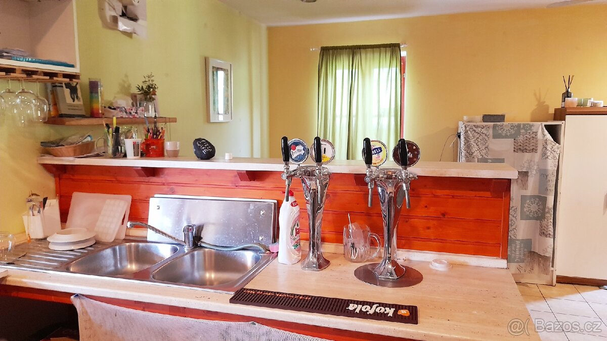 PRODEJ ZAVEDENÉ PIZZERIE