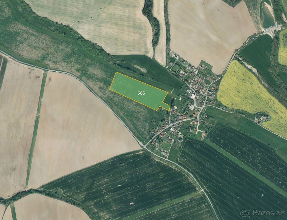 Zemědělská půda, prodej, Neuměř, Domažlice