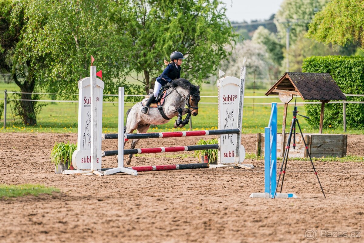 Charakterní první pony kat. S