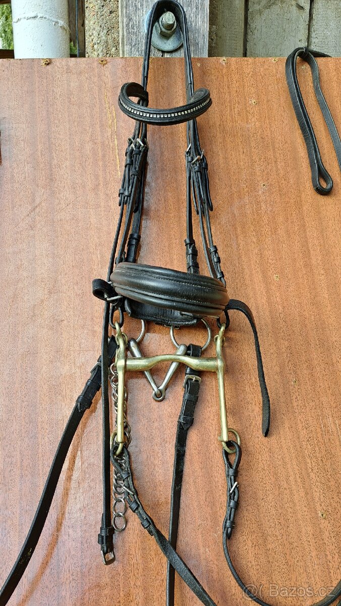 Drezurní uzda + páka a stihlo