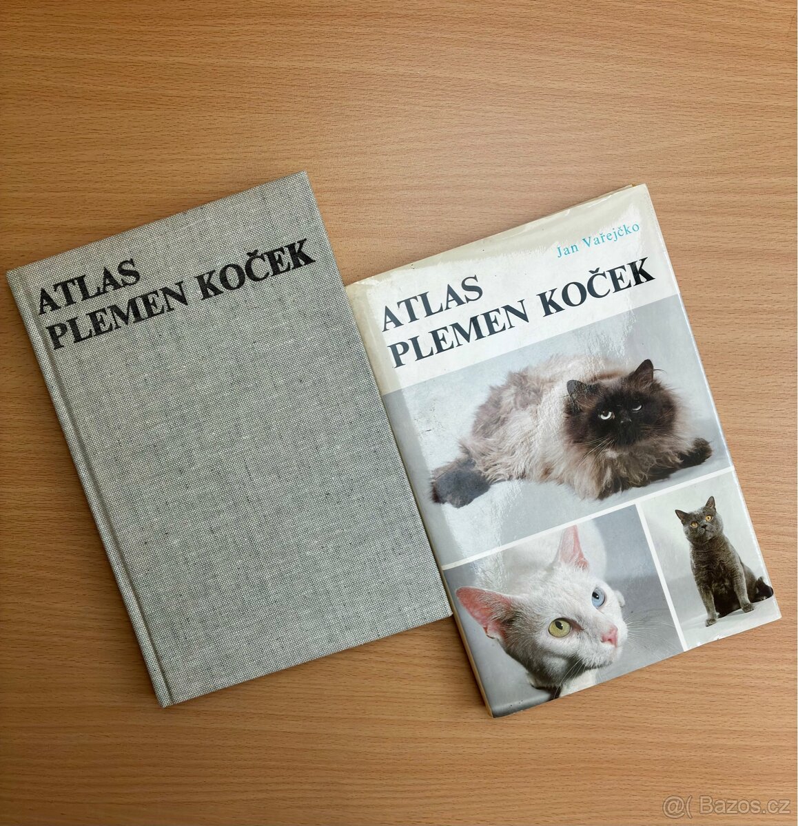 Atlas Plemen Koček
