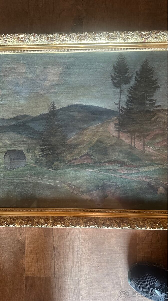 Obraz krajina